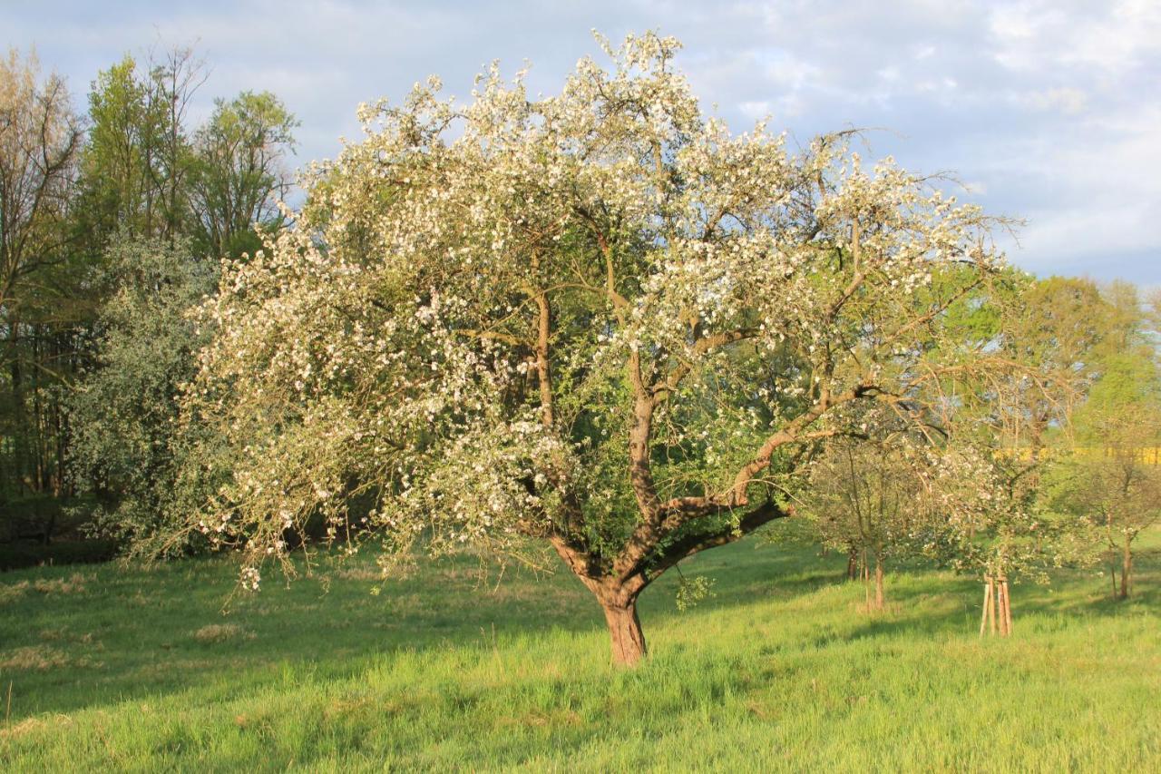 Apfelscheune Cannewitz Malschwitz Ngoại thất bức ảnh